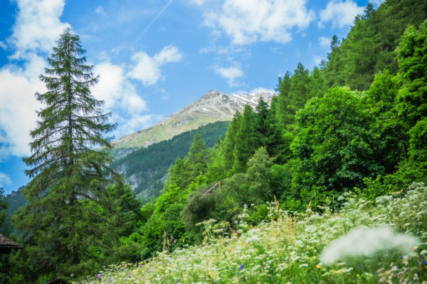 DSC03721