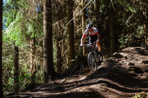 Glebe bike 202613