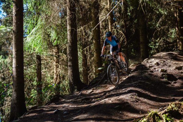 Glebe bike 202614