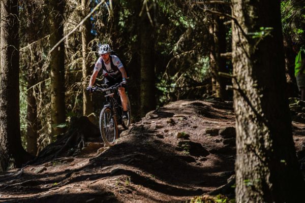 Glebe bike 202615