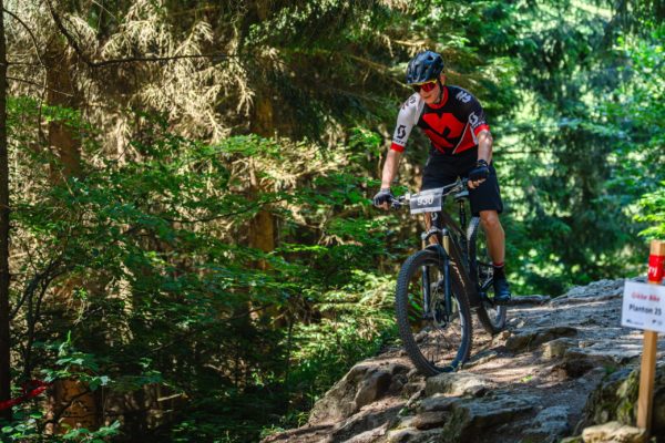 Glebe bike 202616