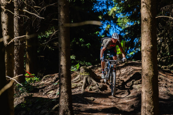 Glebe bike 202617