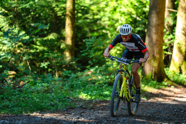 Glebe bike 202619