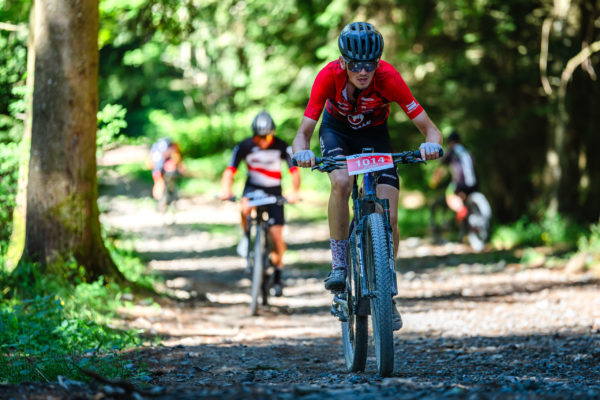 Glebe bike 202621