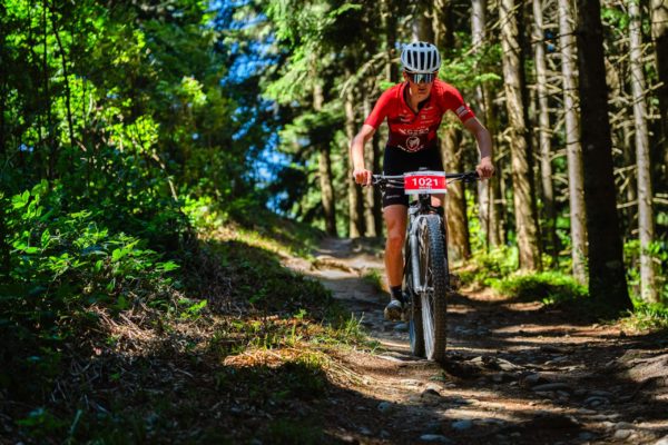 Glebe bike 202623