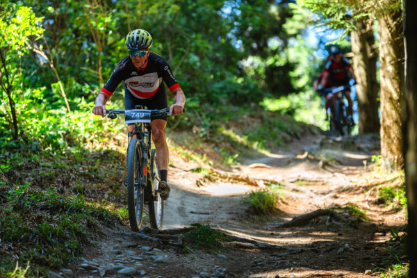 Glebe bike 202624