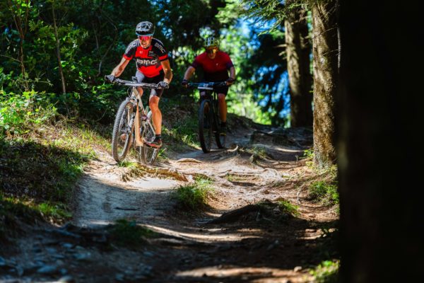 Glebe bike 202625