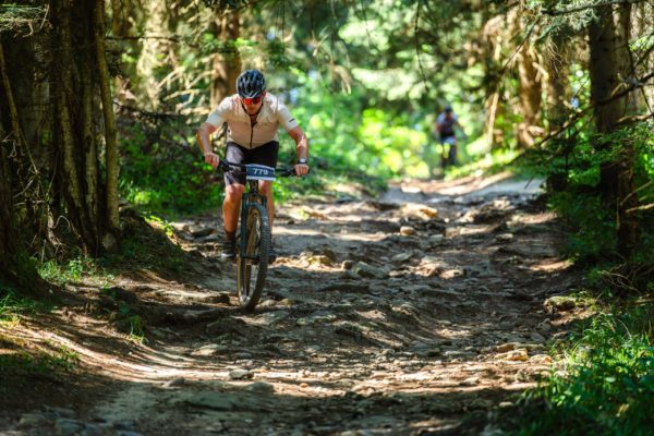 Glebe bike 202627