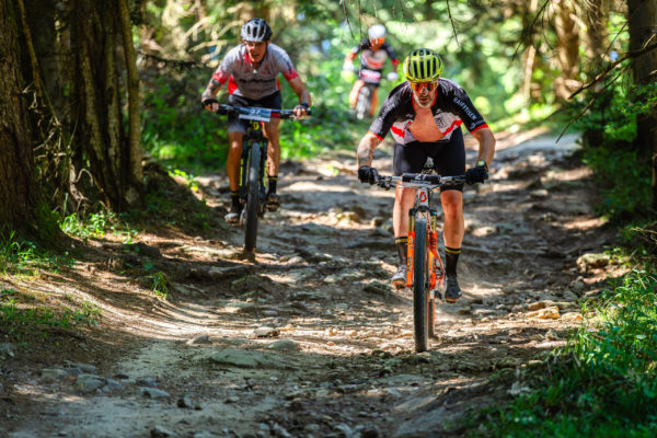 Glebe bike 202628