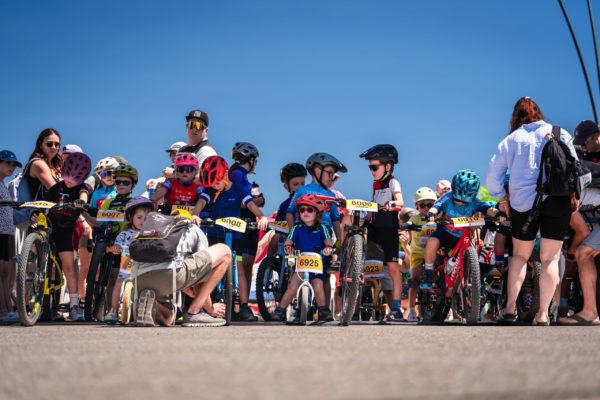 Glebe bike 202650