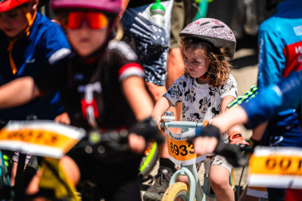 Glebe bike 202655