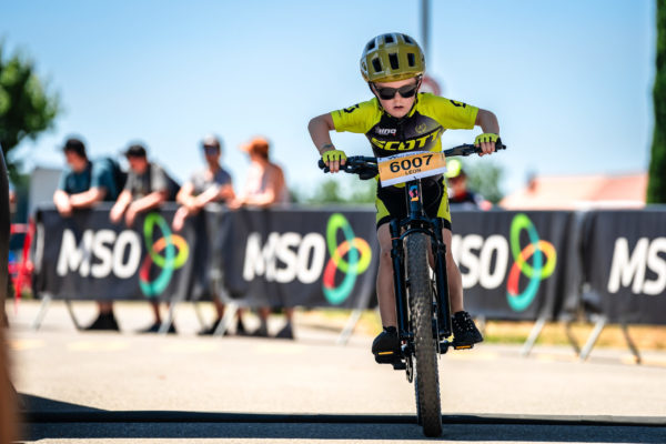 Glebe bike 202657