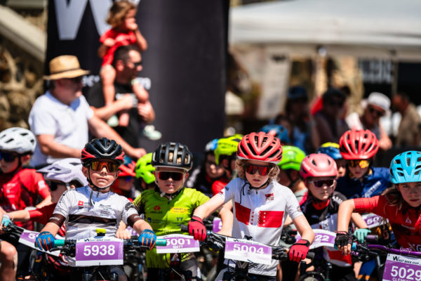 Glebe bike 202664