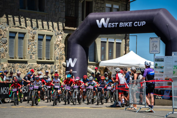 Glebe bike 202669