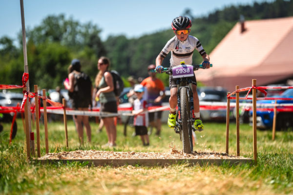 Glebe bike 202673
