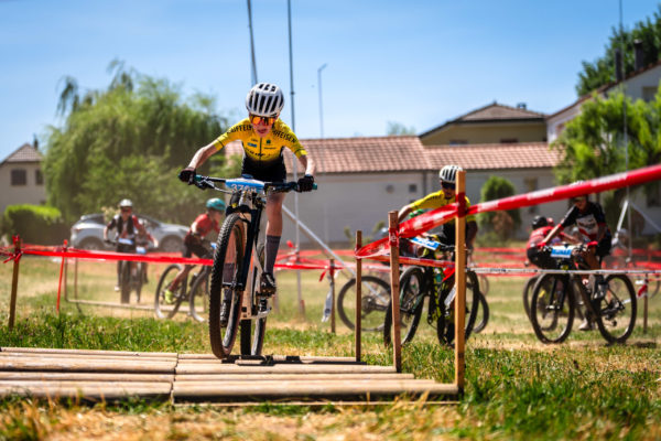 Glebe bike 202679