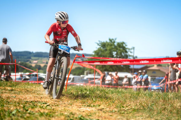 Glebe bike 202682
