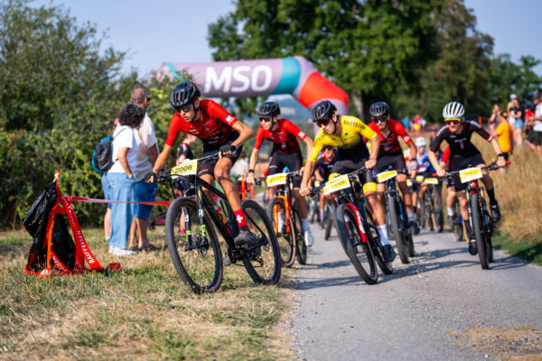 sense bike 202611