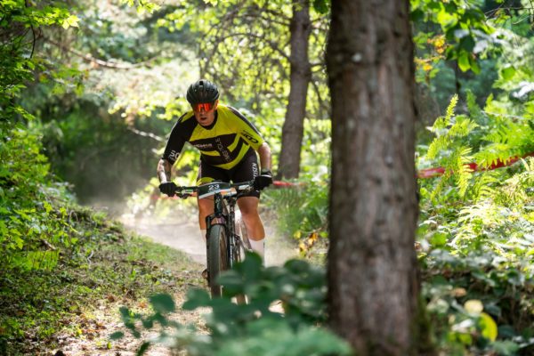 sense bike 2026113