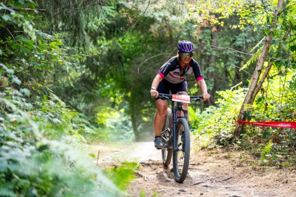 sense bike 2026118