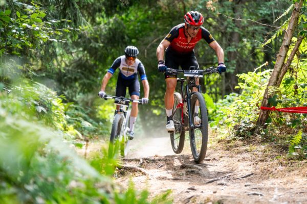 sense bike 2026119