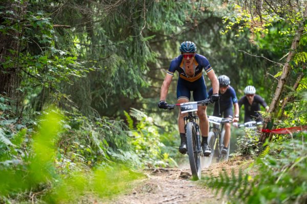 sense bike 2026123