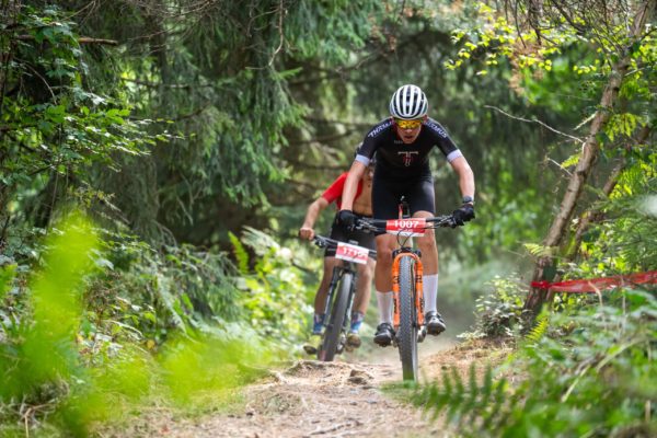 sense bike 2026125
