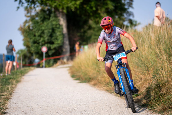 sense bike 202622