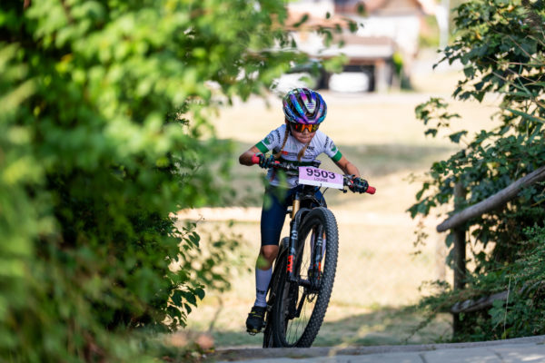 sense bike 202627