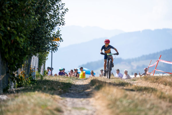 sense bike 202655