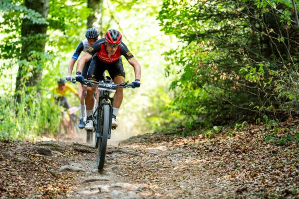 sense bike 202699