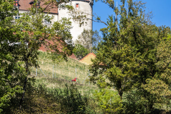 Open bike haute gruyere41